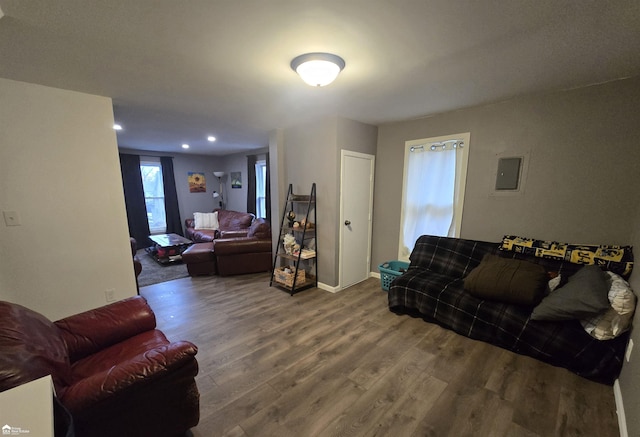 living room featuring wood-type flooring