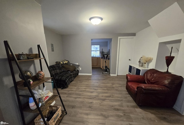 living room featuring wood-type flooring