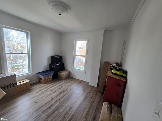 misc room with a healthy amount of sunlight, light hardwood / wood-style floors, and crown molding