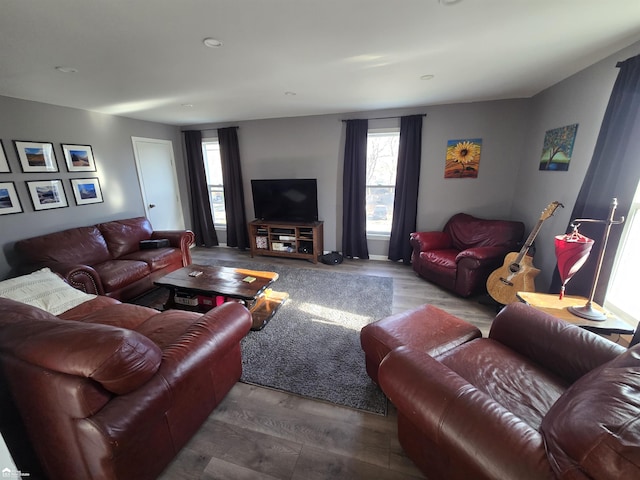 living room featuring hardwood / wood-style flooring