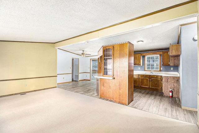 kitchen with sink, light hardwood / wood-style flooring, ceiling fan, ornamental molding, and a textured ceiling