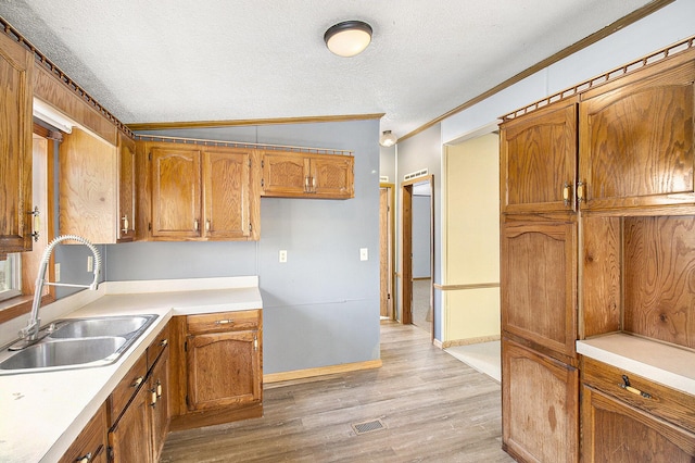 kitchen with crown molding, sink, vaulted ceiling, light wood-type flooring, and a textured ceiling