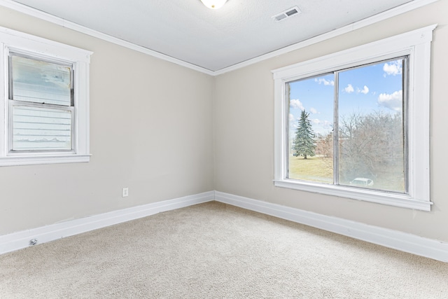 unfurnished room with a textured ceiling, carpet floors, and crown molding