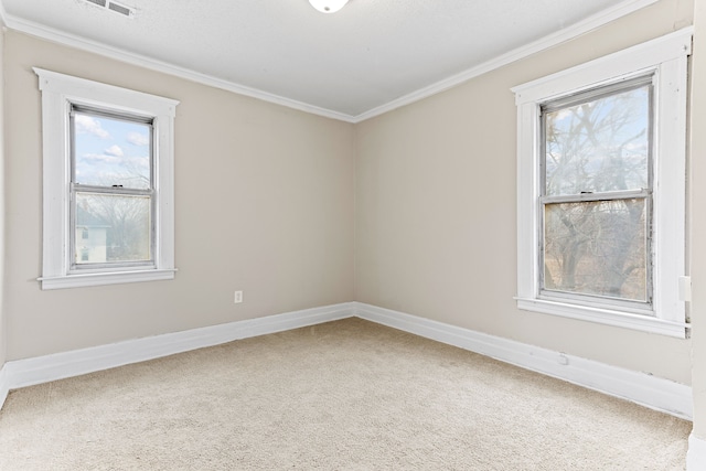 empty room featuring carpet floors and crown molding