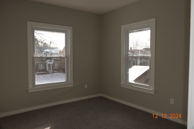 empty room featuring carpet