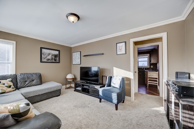 living room featuring carpet, plenty of natural light, and ornamental molding