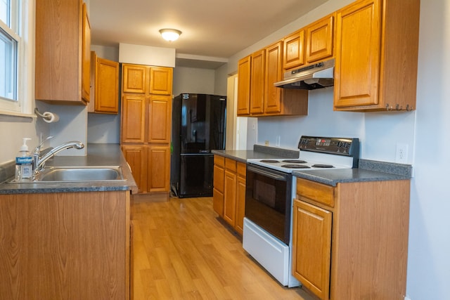 kitchen featuring range with electric cooktop, black refrigerator, sink, and light hardwood / wood-style floors