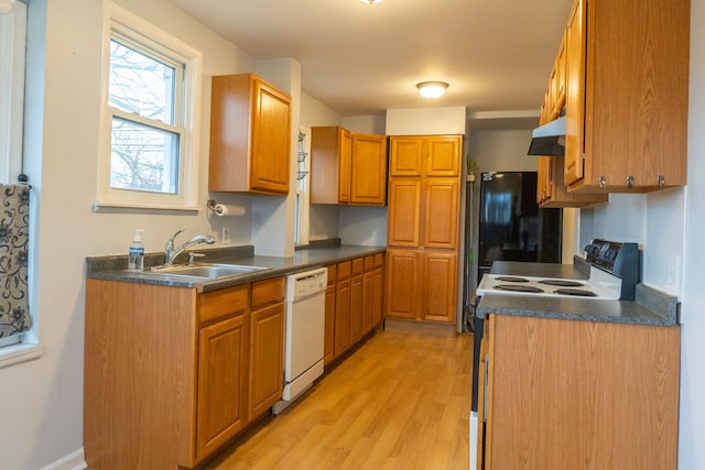 kitchen with range with electric cooktop, range hood, sink, white dishwasher, and light hardwood / wood-style flooring