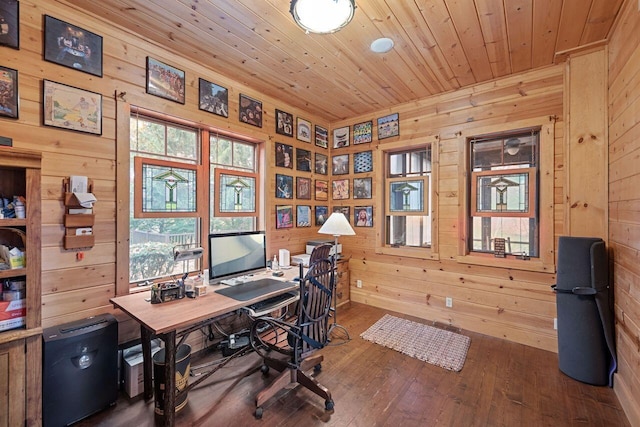 office with wooden walls, dark hardwood / wood-style floors, and a healthy amount of sunlight