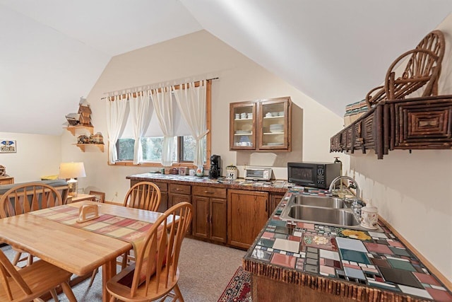 interior space with sink, light carpet, and vaulted ceiling