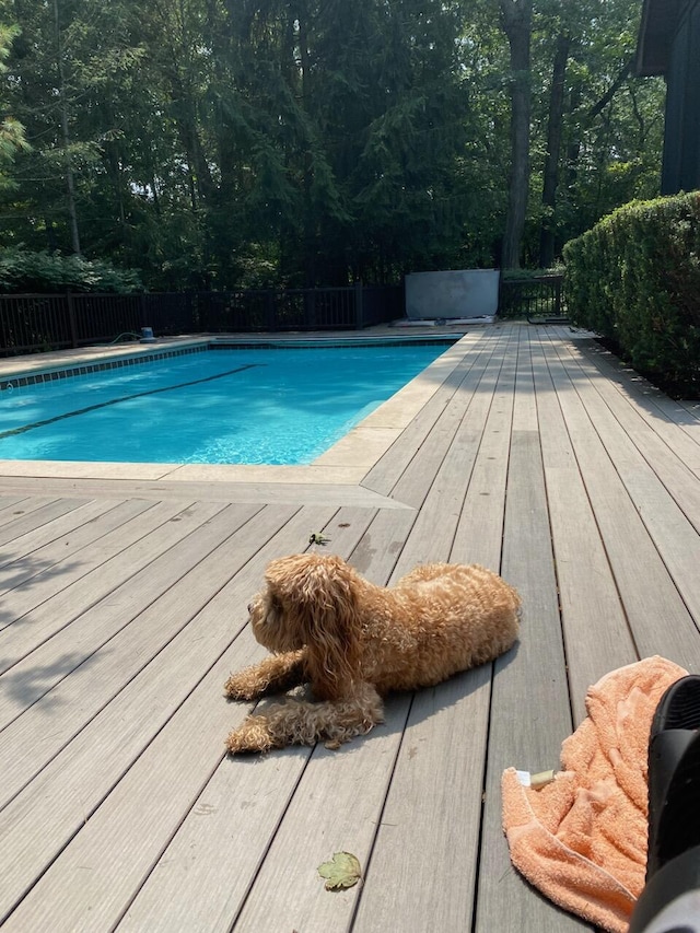 view of pool with a wooden deck