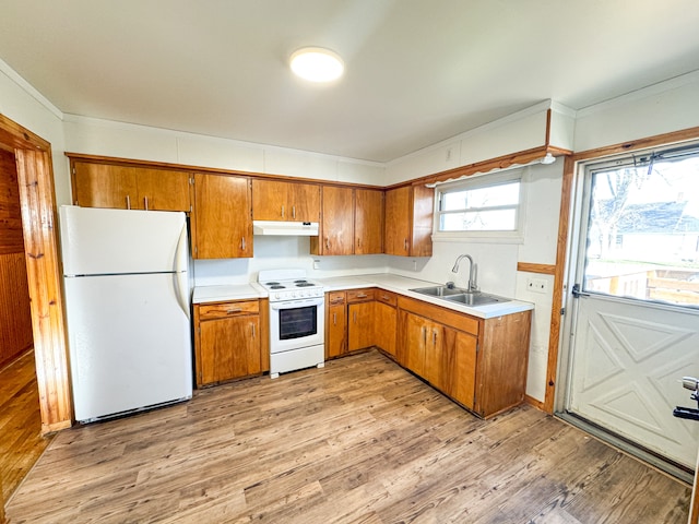 kitchen featuring crown molding, sink, white appliances, and light hardwood / wood-style flooring