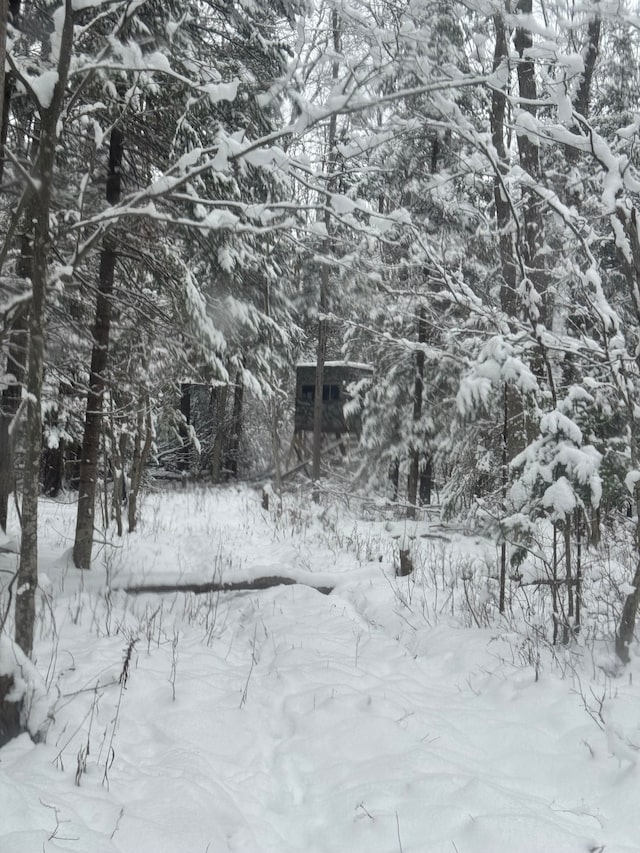 view of snowy landscape