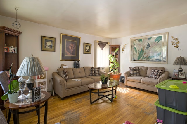 living room featuring hardwood / wood-style flooring