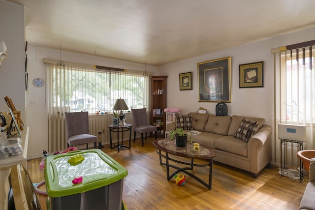 living room featuring hardwood / wood-style flooring