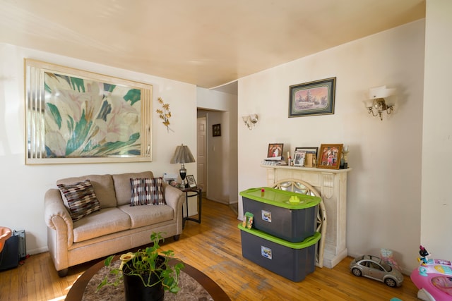 living room featuring hardwood / wood-style floors