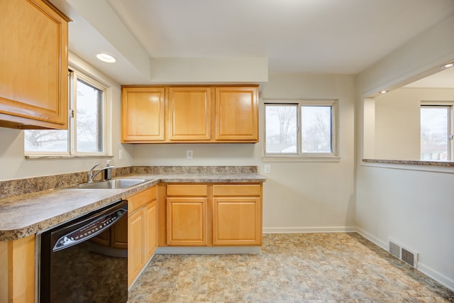 kitchen featuring a wealth of natural light, dishwasher, and sink