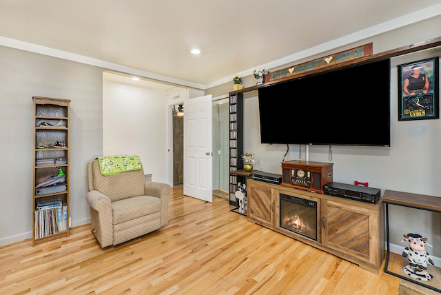 living room featuring wood-type flooring