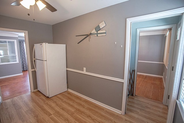 kitchen with ceiling fan, white fridge, and light wood-type flooring