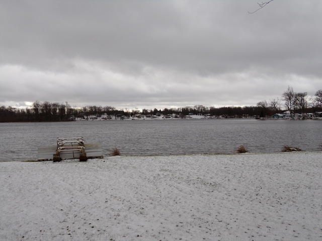 9727 W Camden Rd, Montgomery, MI 49255 - photo 48