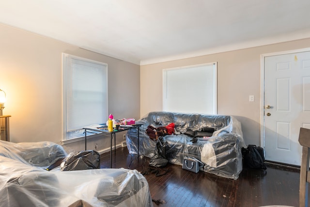 living room with dark hardwood / wood-style floors