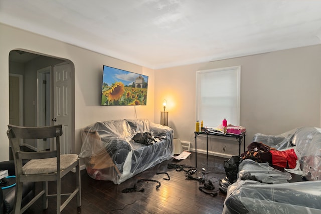 living room featuring wood-type flooring