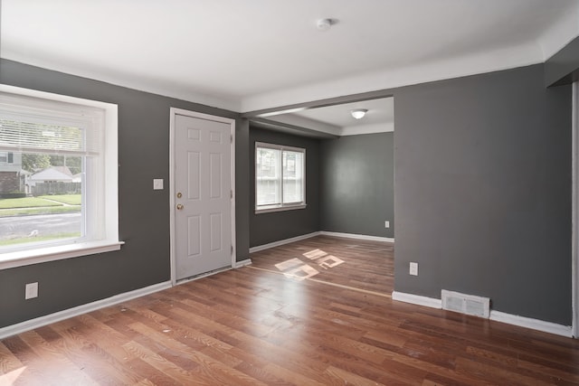 foyer entrance featuring dark hardwood / wood-style flooring and plenty of natural light