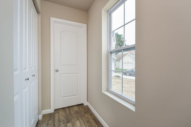 corridor featuring dark hardwood / wood-style flooring