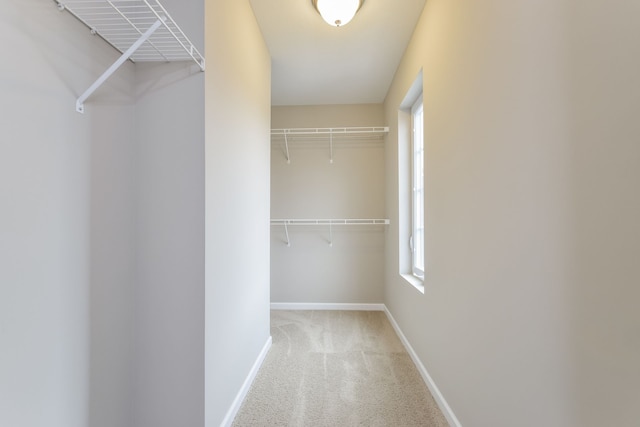 spacious closet with light carpet