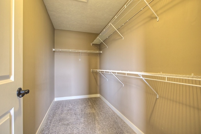 walk in closet featuring carpet flooring