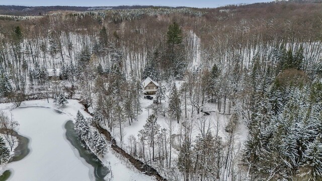 view of snowy aerial view