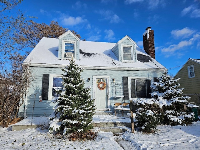 view of cape cod house