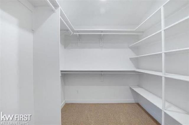 walk in closet featuring light colored carpet