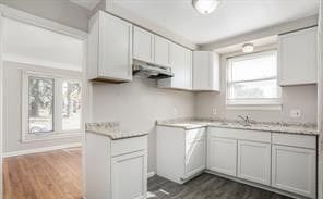 kitchen with dark hardwood / wood-style flooring, plenty of natural light, white cabinets, and sink