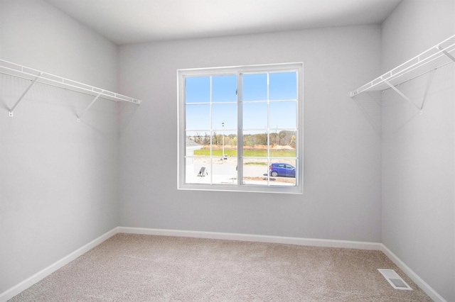 8775 E Sturtevant Ave, Richland, MI 49083 - spacious closet with carpet flooring