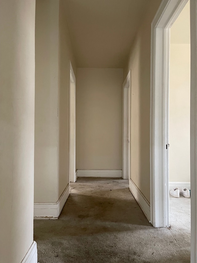 hallway featuring carpet