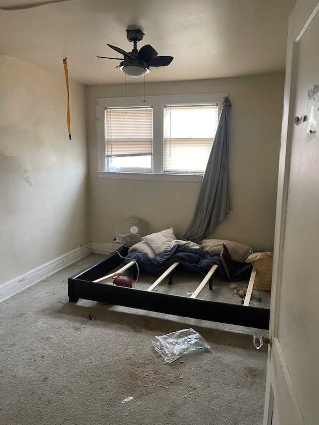 miscellaneous room with carpet floors and ceiling fan