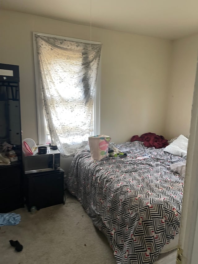 bedroom with carpet flooring