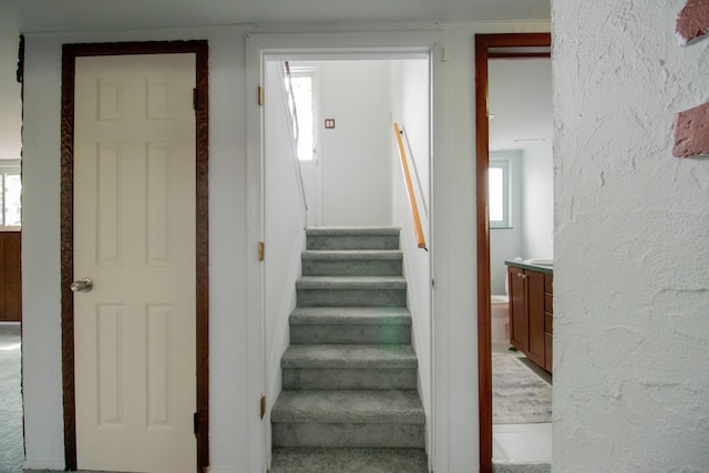 staircase with carpet floors