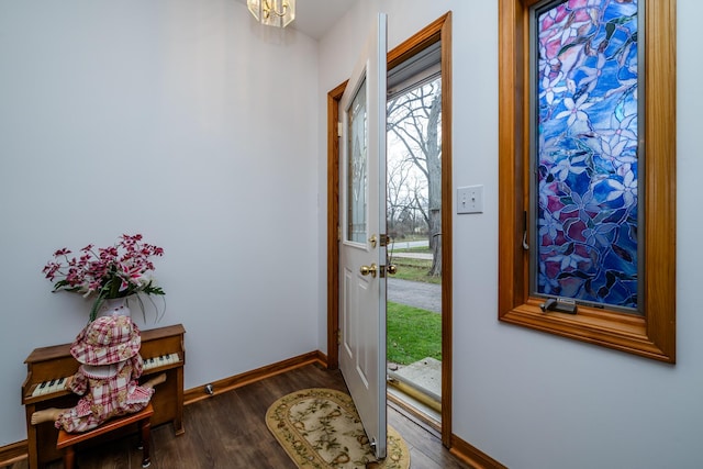 interior space with dark hardwood / wood-style flooring