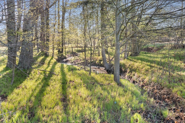 7580 River Rd, Evart, MI 49631 - view of yard