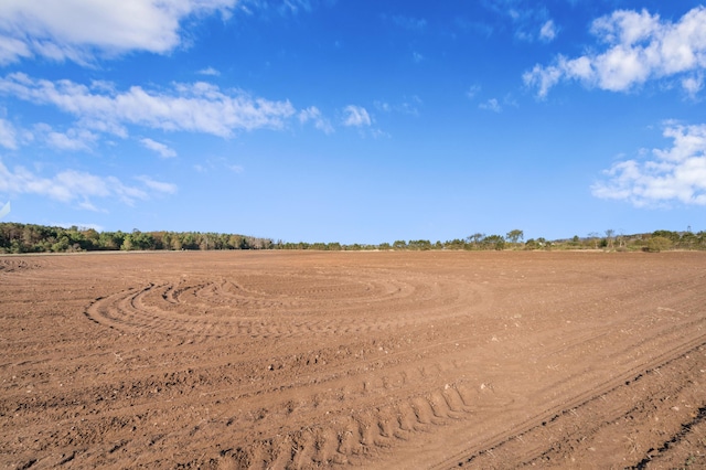 7580 River Rd, Evart, MI 49631 - view of nature with rural landscape