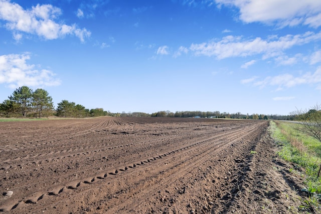 7580 River Rd, Evart, MI 49631 - view of dirt / gravel road featuring a rural view