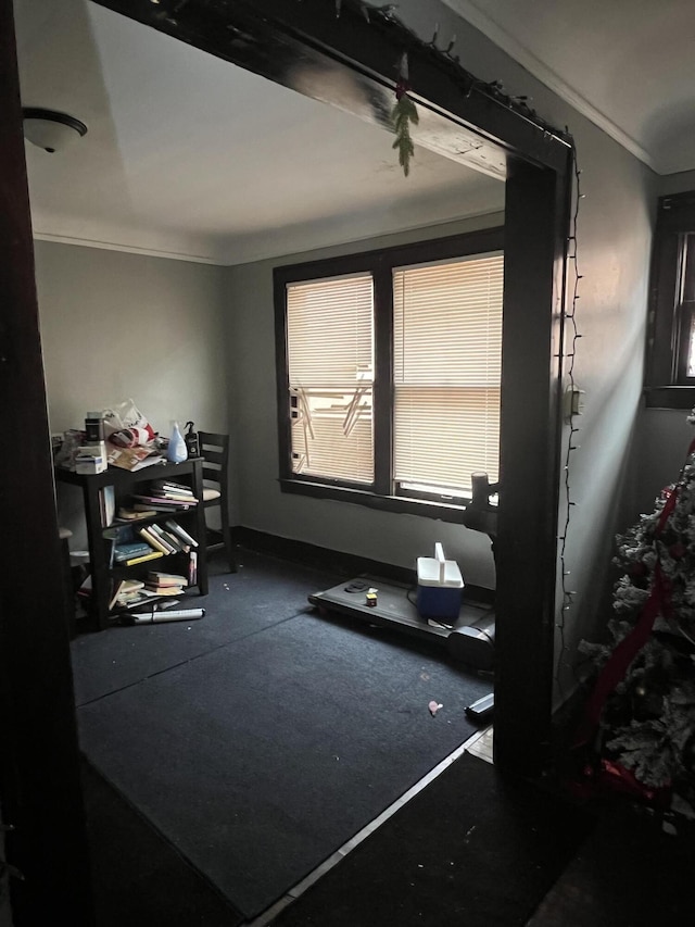 miscellaneous room featuring ornamental molding