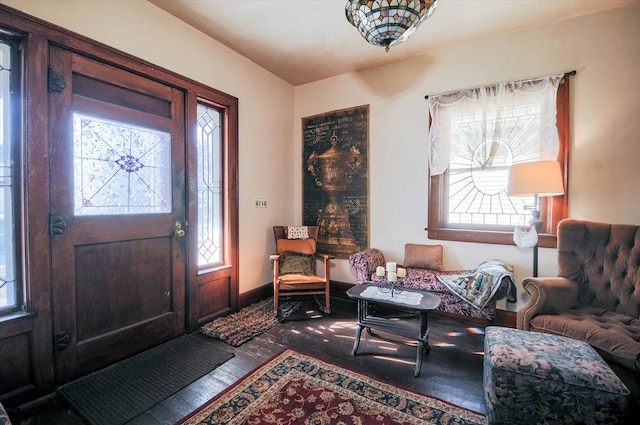 foyer with hardwood / wood-style floors and a healthy amount of sunlight