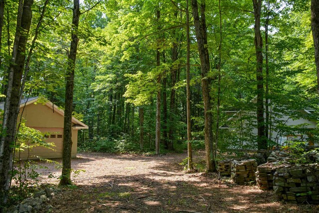 8600 Tucker Rd, Lake Ann, MI 49650 - photo 8