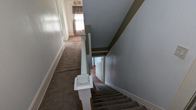 2521 Hillside Dr NW, Grand Rapids, MI 49544 - staircase with carpet floors