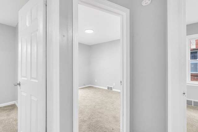 hallway with carpet flooring and a wealth of natural light