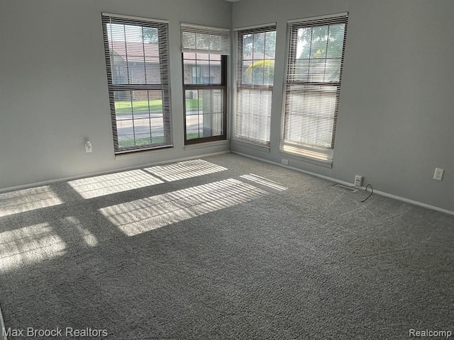 unfurnished room featuring carpet flooring and a healthy amount of sunlight