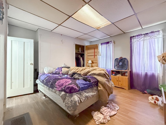 bedroom with wood-type flooring, a closet, and a drop ceiling